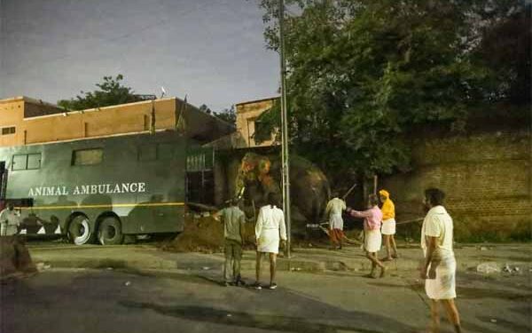 Anant Ambani’s Vantara steps in to aid elephants in distress at 148th Jagannath Rath Yatra