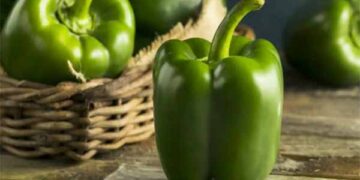 SUNDAY FIESTA: SIMLA MIRCH SPECIAL