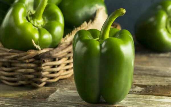 SUNDAY FIESTA: SIMLA MIRCH SPECIAL