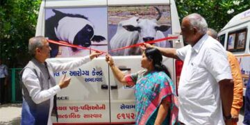 Now, dial 91529 90399 for free animal ambulance service in Ahmedabad: Samast Mahajan