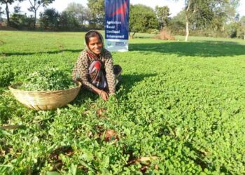 Union Agriculture Minister urges state CMs to combat counterfeit fertilisers, forced tagging