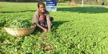 Union Agriculture Minister urges state CMs to combat counterfeit fertilisers, forced tagging