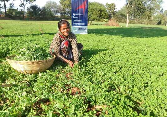 Union Agriculture Minister urges state CMs to combat counterfeit fertilisers, forced tagging