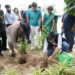 Chiripal Mirchi Green Yodha Culmination Ceremony celebrates 1.5 lakh trees planted in Ahmedabad
