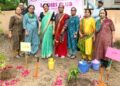 Ahmedabad Medical Assn Ladies Club holds Tree Plantation Program at Ellisbridge Municipal school