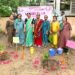 Ahmedabad Medical Assn Ladies Club holds Tree Plantation Program at Ellisbridge Municipal school