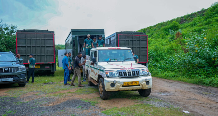 Vantara & Gujarat Forest Dept join hands to enrich wildlife diversity in Barda Sanctuary
