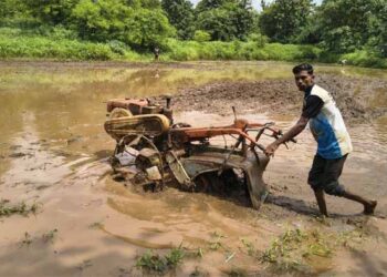 Amazon invests more than ₹37 crore in water replenishment projects across India