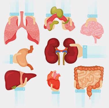 Indian Organ Donation Day 2025: Bridging the liver transplant gap for cancer patients
