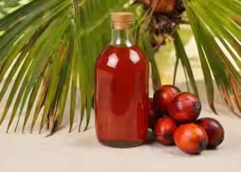 ‘No Palm Oil’ claims mislead consumers and ignores scientific evidence, says OTAI President