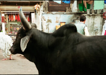 In digital age, Vivek Desai’s film-based Photo Expo – ‘Lambi Kahaaniyan’, opens at Satya Art Gallery