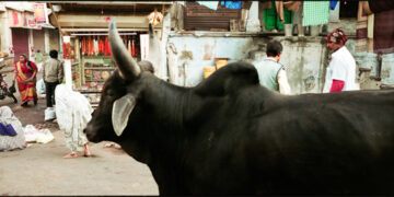 In digital age, Vivek Desai’s film-based Photo Expo – ‘Lambi Kahaaniyan’, opens at Satya Art Gallery