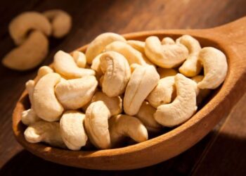 Sunday Special: The Cashew Trivia