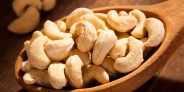 Sunday Special: The Cashew Trivia