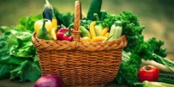 Vegan Culinary Fiesta: Good To Cook & Healthy To Eat