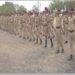 1,546 cadets set to participate in Thal Sainik Camp for 12-days at Cariappa Parade Ground, Delhi