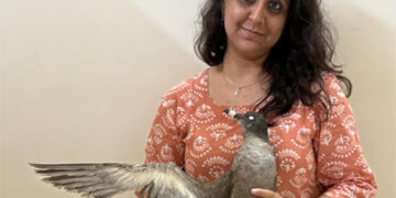 Ahmedabad twitcher Esha Munshi’s special Feather Library bridges nature, science and society  