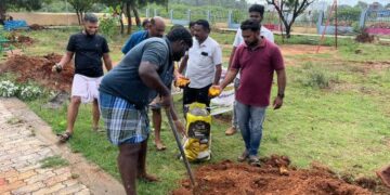 Tamil Nadu’s Green Revolution takes root: Palm Seed Plantation Mission 2025 inspires mass participation