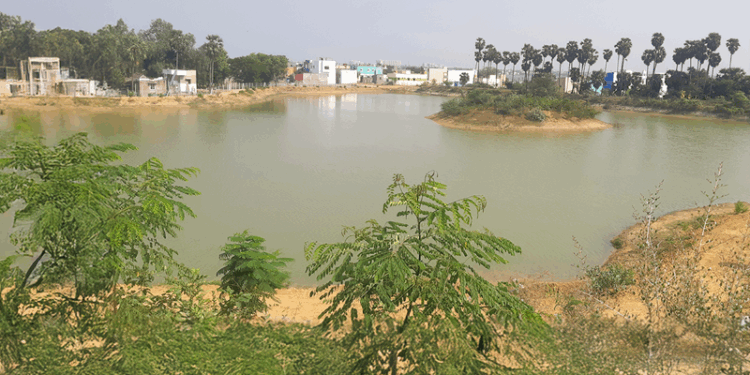 Tata Communications revives Nagan Thangal Lake into model of rural water security & eco-restoration