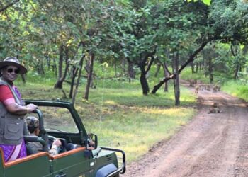 President offers prayers at Somnath, tours Gir, and interacts with local tribal communities