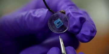 IIT Gandhinagar scientists harness Clay Nanotech to power the Next Generation of Smart Labs