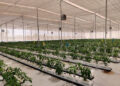 Brio Hydroponics launches Unnati – Gujarat’s Largest Hydroponics Park in Sabarkantha district