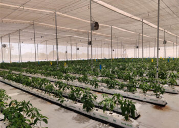 Brio Hydroponics launches Unnati – Gujarat’s Largest Hydroponics Park in Sabarkantha district