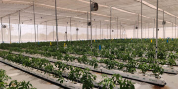 Brio Hydroponics launches Unnati – Gujarat’s Largest Hydroponics Park in Sabarkantha district