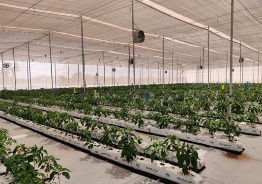 Brio Hydroponics launches Unnati – Gujarat’s Largest Hydroponics Park in Sabarkantha district