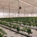 Brio Hydroponics launches Unnati – Gujarat’s Largest Hydroponics Park in Sabarkantha district