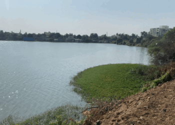 Flex revives Medavakkam Periya Eri: A model CSR initiative in water conservation and community sustainability