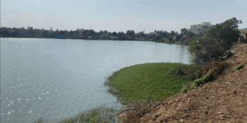 Flex revives Medavakkam Periya Eri: A model CSR initiative in water conservation and community sustainability