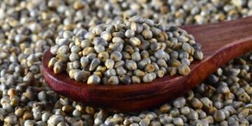 Sunday Special; Pearl Millet Fiesta