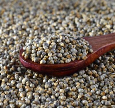 Sunday Special; Pearl Millet Fiesta