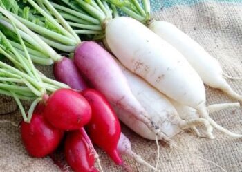 Sunday Special: Fall in love with Mooli