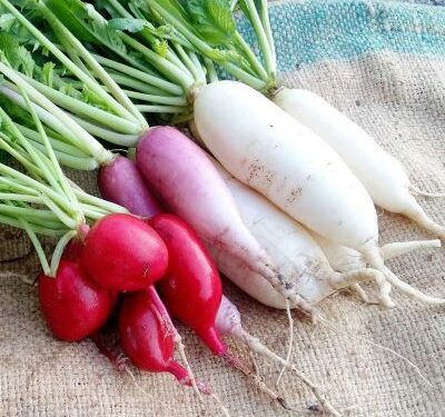 Sunday Special: Fall in love with Mooli