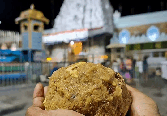 TTD laddu ghee adulteration scandal: SC-appointed SIT nabs first serving TTD official