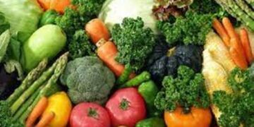 Going Green This Winter: Wholesome, Heart-Warming Recipes to Beat the Chill