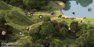 Vantara rises as a global symbol of ethical wildlife care