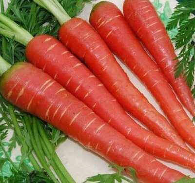 Crunch into winter: The Carrot Fiesta that makes healthy eating fun for kids and youth