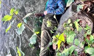 Naxalism on the retreat, terror on notice: India’s security architecture shows results of firm governance