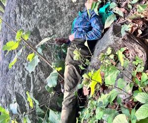 Naxalism on the retreat, terror on notice: India’s security architecture shows results of firm governance