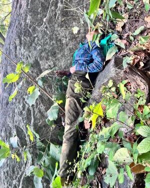 Naxalism on the retreat, terror on notice: India’s security architecture shows results of firm governance