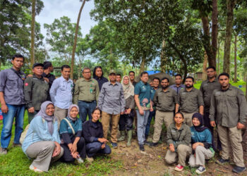 Vantara leads global fight against deadly elephant virus, partners Indonesia to protect critically endangered Sumatran Elephants