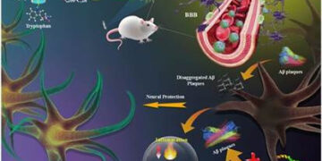 Green Tea–Inspired Nanotherapy offers multi-target breakthrough against Alzheimer’s