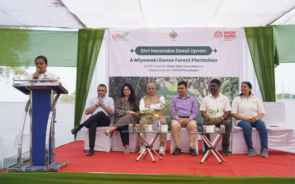 Wagh Bakri foundation launches ‘Narandas Desai Upvan’ — its second miyawaki forest initiative