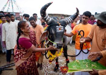 From soil to soul: Isha revives India’s living traditions through Pongal, cattle conservation and martial arts