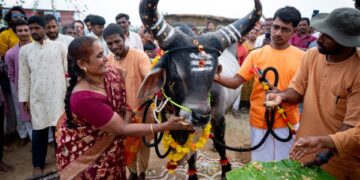 From soil to soul: Isha revives India’s living traditions through Pongal, cattle conservation and martial arts