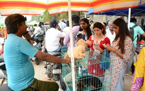 From blackboard to bazaar: Beyond 8 Learners turn marketplace lessons into entrepreneurial mindsets