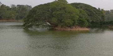 Lake sediments unlock 4,500 years of monsoon history in Tamil Nadu, guiding future conservation